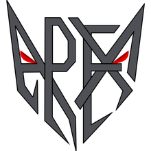 APEX SYSTEMS